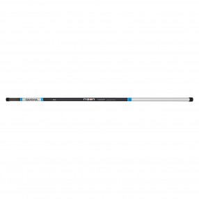 Sztyca Daiwa Nzon 300cm