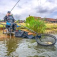 Głowa Do Podbieraka Preston Carbon Match Landing Net 18"