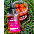 Liquid Warmuz Baits Donald Power Hook 90ml