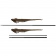 Podbierak Fox "Horizon X3s 46"" Landing Net"