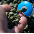 Pellet Sonubaits Marine Green Feed Pellets 8mm 900g