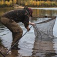 Podbierak Korda Spring Bow Net 46inch Deep Version