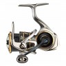 Kołowrotek Daiwa Airity LT 4000 D-C