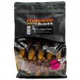 Kulki Massive Baits Special Boilies Bolsena Squid 14mm 1kg