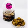 Orzech Tygrysi Massive Baits Salty Sweet Tigers Bolsena Squid 150ml