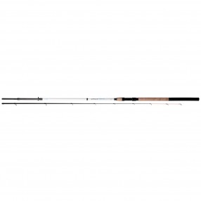 Wędka Mikado Intro II Picker 3m 40g 2+3