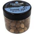 Wafters Eggstreme Fishing Marine Egg 8x7mm 50ml