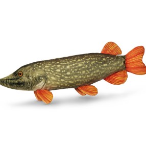 Pluszowy Szczupak Delphin 60cm