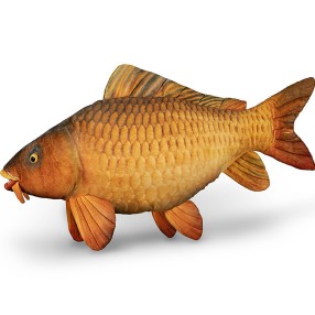 Pluszowy Karp Delphin 60cm