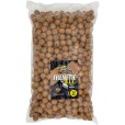 Kulki Zanętowe Carp Only Frenetic A.L.T. Squid Liver 20mm 5kg