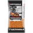 Zanęta Genlog Germina Gruba Truskawka 1kg