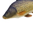 Pluszak/ Poduszka Karp Pełnołuski Mini 36cm