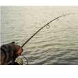 Wędka One More Cast 12ft 3,75lb Carp Rod - All Rounder