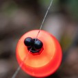 Hanger Fox Black Label Dumpy Halo Bobbin - Blue