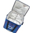 Torba Termiczna Daiwa N'ZON Cool Bag