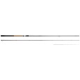Wędka Zemex 2025 Iron Ultra Light 10ft 40g