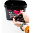 Kulki Massive Baits Boilies Aller 90 Scopex 24mm 5kg