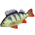 Pluszak/ Poduszka Okoń 50cm
