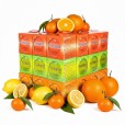 Żyłka Katran Fishing Line Synapse Orange 0,309mm 1000m 7,01kg