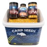 Box Ziaren Carp Seeds Truskawka