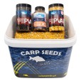 Box Ziaren Carp Seeds Truskawka
