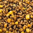 Mix T Ziaren Carp Seeds Orzechy Tygrysi Pszenica Kukurydza Konopie 1kg