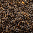Konopie Carp Seeds 1kg