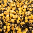 Mix B Ziaren Carp Seeds Konopie Kukurydza - Truskawka 1kg