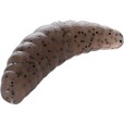 Guma Mikado M-Area Maggot / 3,4cm / Pellet / 16szt
