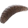 Guma Mikado M-Area Maggot / 4,2cm / Pellet / 10szt