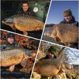 Kulki TB Baits/ Blazek Grand Krill 250g 16mm