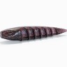 Zestaw Gum Nays ND25 2.5" - 6.4cm - C-19 - 8szt