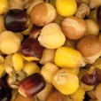 Mieszanka Ziaren Nash Large Seed Mix 2,5l