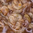 Liquid Nash Brine Shrimp & Gammarus 500ml