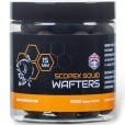 Kulki Nash Scopex Squid Wafters 15mm 100g 