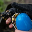 Rękawiczka Lewa Nash Spot On Casting Glove