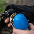 Rękawiczka Nash Spot On Casting Glove Right
