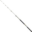 Wędka Robinson Siluro Pro Clonk 2,10m 50-200g