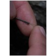 Przypon One More Cast Surrender All-In-1 Rigs Blend Corefree Double Over Hinge Redesmere Barbed - 4