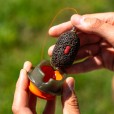 Wafters Solbaits Slow Sinking Red Dumbells 8mm 50ml