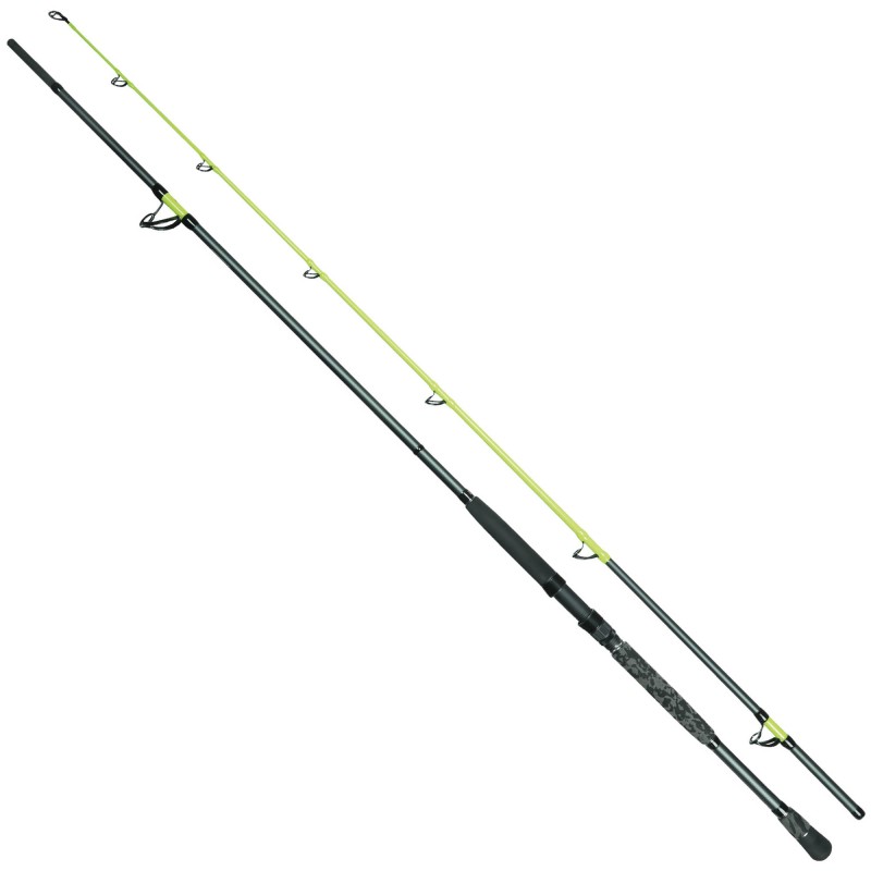 Wędka Robinson Siluro Pro Spin 2,70m 50-300g