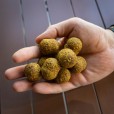 Wafters Dudi Bait Amur Tigernuts Amur Jumbo Dumbell 30mm 