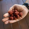 Wafters Dudi Bait Mister Red Super Hot Jumbo Dumbell 24mm