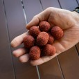 Wafters Dudi Bait Mister Red Super Hot Jumbo Dumbell 30mm