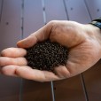 Pellet Skretting T1P Optiline 2mm 25kg