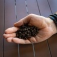 Pellet Skretting T3P Optiline 6mm 1kg