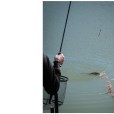 Spławik Matrix Foam Pellet Waggler 8g 12mm