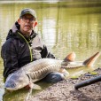 Tyczka Matrix Torque Carp X Power Pole Package 11,5m
