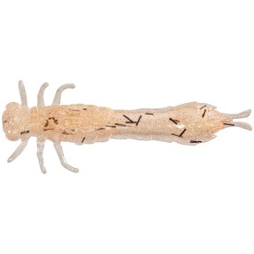 Zestaw Gum Westin Odonata Ned Creaturebait 6.5cm 2g - UV Shrimp