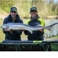 Tyczka Matrix Torque Carp Power 10m Pole Package
